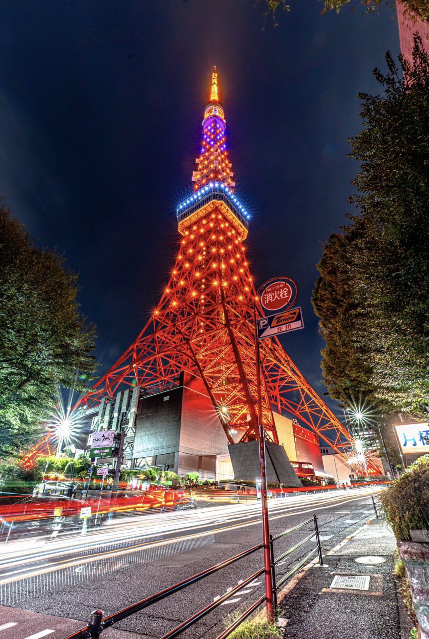 体系的な投資教育